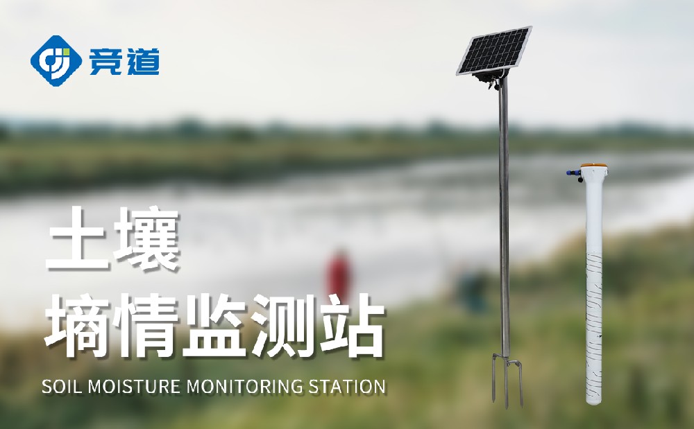 ¹ÜʽÍÁÈÀÉÊÇé¼à²âÉ豸